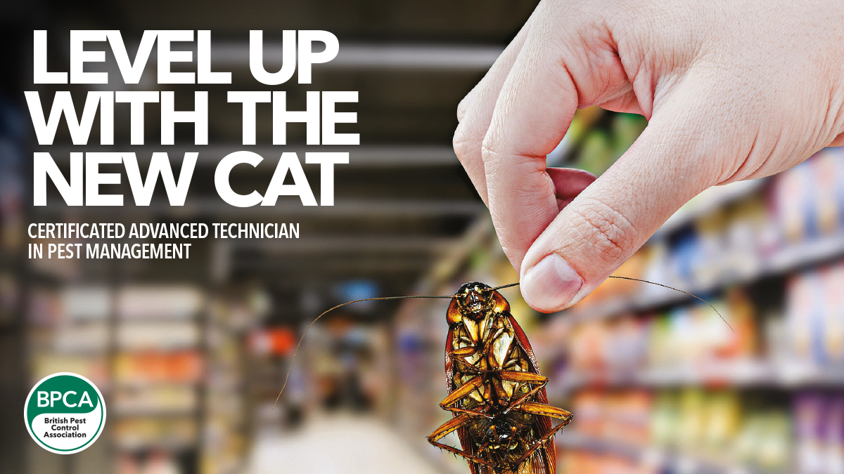 Level-up-with-the-new-CAT Level-up-with-the-new-CAT